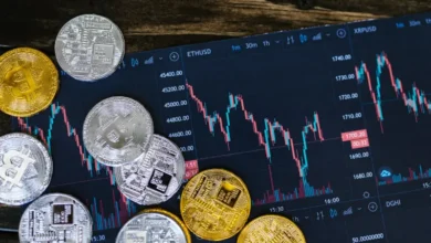 Kripto Para Piyasaları