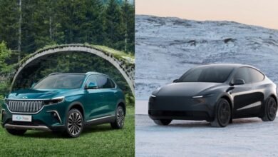Togg ve Tesla